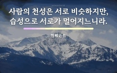천성에 관한 명언