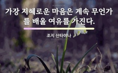조지 산타야나의 명언