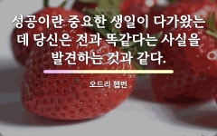 생일에 관한 속담: 5개