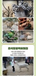 공연 상세정보 - 대구은행