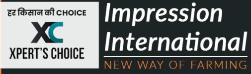 52Cc 2 Stroke Agriculture Portable Crop Harvester Brush Cutter at Best Price in Surat | Impression International