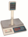 Check Weighing Scale at Best Price in Kanpur, Uttar Pradesh | Precision Electronic Instruments Co.