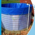 Fish Tank at Best Price in Ahmedabad, Gujarat | Amit Agroplast