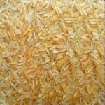 Healthy And Natural 1121 Golden Sella Basmati Rice at Best Price in Mumbai | Saf Intercon Private Limited