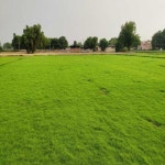 Balaji Nursery in New Delhi, Delhi, India - Company Profile