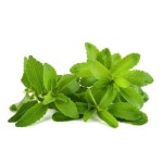 Neempushp Herbs And Healthcare in Ahmedabad, Gujarat, India - Company Profile