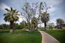 Michael S. Wolfson Park, Palm Springs, California  | Library of Congress Michael S. Wolfson Park, Palm Springs, California