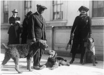 [Afro-American White House kennel keeper and woman with three airedales of Warren G. Harding] | Library of Congress [Afro... 