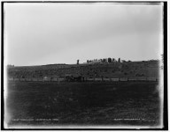Tracey [sic], Minn., J.M. Wardells farm | Library of Congress Tracey [sic], Minn., J.M. Wardells farm