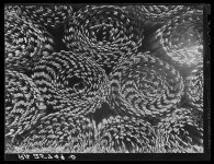 Snow fences. Lamoille County, Vermont | Library of Congress Snow fences. Lamoille County, Vermont