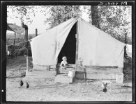 Migratory orange pickers camp. Exeter, California | Library of Congress Migratory orange pickers camp. Exeter, California