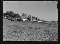Farm of F.W. Stewart, who raises registered Holstein dairy cattle and Berkshire hogs. Marion, Iowa | Library of Congress Farm of... 