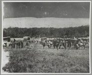 Removing wounded, Fredericksburg, Va.? 57th N.Y. Ambulance Corps. | Library of Congress Removing wounded, Fredericksburg, Va.?... 