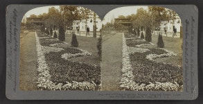Bed of foliage plants and wireless telegraph tower, Louisiana Purchase Exposition, St. Louis, Mo., U. S. A.  | Library of... 