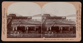 Peons spreading coffee to dry, Orizaba, Mexico | Library of Congress Peons spreading coffee to dry, Orizaba, Mexico