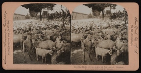 Getting their picture taken at San Angel, Mexico | Library of Congress Getting their picture taken at San Angel, Mexico