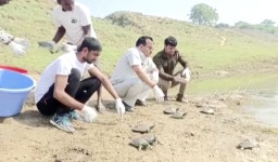uttar pradesh: UP forest department releases turtles into Chambal river in Etawah | News - Times of India Videos