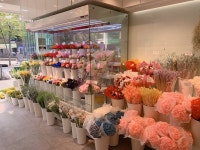 스노우폭스플라워 전 점포 이익, 다점포화 준비 마쳤다 - TENANT news