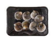 상품상세>[새벽시장] 모시조개 (200g)