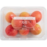 상품상세>[새벽시장] 대석자두 500g [새벽시장] 대석자두 500g