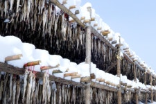 상품상세>[에이블마켓] 황금품은황태 프리미엄 선물세트 7호 [에이블마켓] 황금품은황태 프리미엄 선물세트 7호