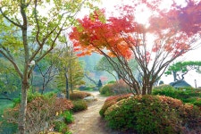 하늘물빛정원 글램핑 - 충청남도 금산군 - 가볼만한곳 - 관광지랭킹
