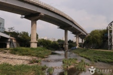 รูปภาพผลการค้นหา Naver 1