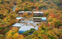 국립청도숲체원 관광 정보와 주변 관광 명소 및 근처 맛집 여행 정보