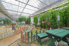 원평허브농원 관광 정보와 주변 관광 명소 및 근처 맛집 여행 정보