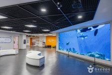 부산해양자연사박물관 문화 정보와 주변 관광 명소 및 근처 맛집 여행 정보