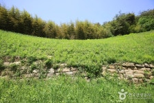 익산 오금산성 - 전북특별자치도 익산시 - 가볼만한곳 - 관광지랭킹