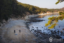 해안누리길 몰운대길 (2026) - 부산광역시 사하구 가볼만한곳 - 관광지랭킹