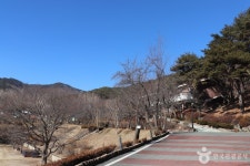 Naver 搜索结果照片 5