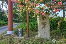 학산사 (2026) - 전남광주통합특별시 서구 가볼만한곳 - 관광지랭킹
