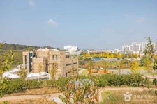 농촌테마공원 도도리파크 관광 정보와 주변 관광 명소 및 근처 맛집 여행 정보