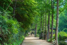 앞산자락길 레저스포츠 정보와 주변 관광 명소 및 근처 맛집 여행 정보