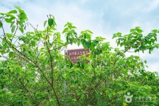 삼거동 고인돌 (2026) - 전남광주통합특별시 광산구 가볼만한곳 - 관광지랭킹