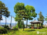 수도산도시숲 관광 정보와 주변 관광 명소 및 근처 맛집 여행 정보