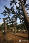 방죽포해변 - 캠프위크