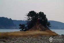 의항해수욕장 - 캠프위크