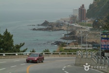 진도 고니류 도래지 - 전라남도 진도군 - 가볼만한곳 - 관광지랭킹