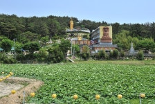 기장 파전축제 2019 - 부산광역시 기장군 - 가볼만한곳 - 관광지랭킹