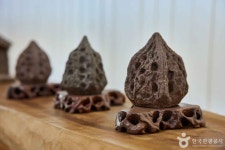 귀족호도박물관 - 전라남도 장흥군 - 가볼만한곳 - 관광지랭킹