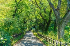 공주 갑사 철당간 (2026) - 충청남도 공주시 가볼만한곳 - 관광지랭킹