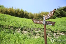 익산 오금산성 - 전북특별자치도 익산시 - 가볼만한곳 - 관광지랭킹