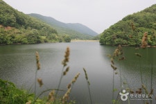 연곡저수지 - 캠프위크