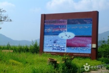 진도 고니류 도래지 - 전라남도 진도군 - 가볼만한곳 - 관광지랭킹