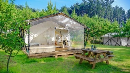 서천파인트리글램핑 (2026) - 충청남도 서천군 가볼만한곳 - 관광지랭킹