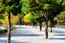 또올래캠프 - 경기도 가평군 - 가볼만한곳 - 관광지랭킹