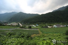 故박정렬여사 추모공원 - 강원특별자치도 홍천군 - 가볼만한곳 - 관광지랭킹